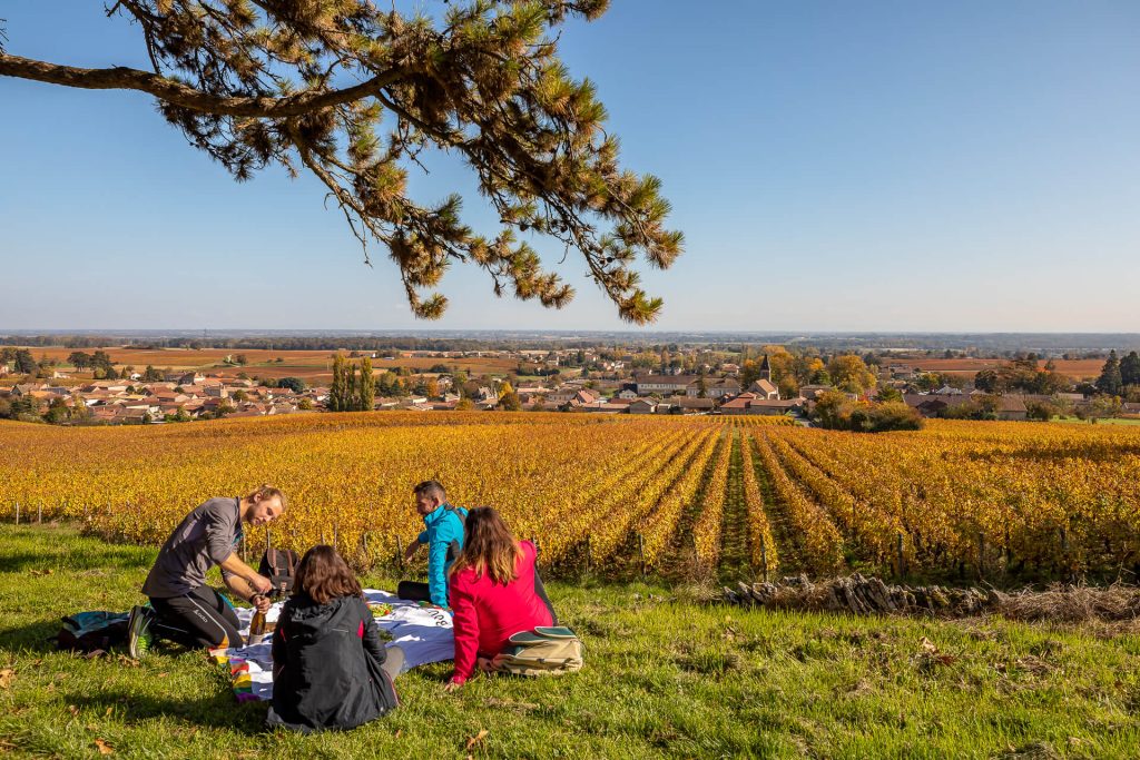 Week-end en Mâconnais-Tournugeois, pic-nique sur le vignoble Mâconnais pas loin de Tournus