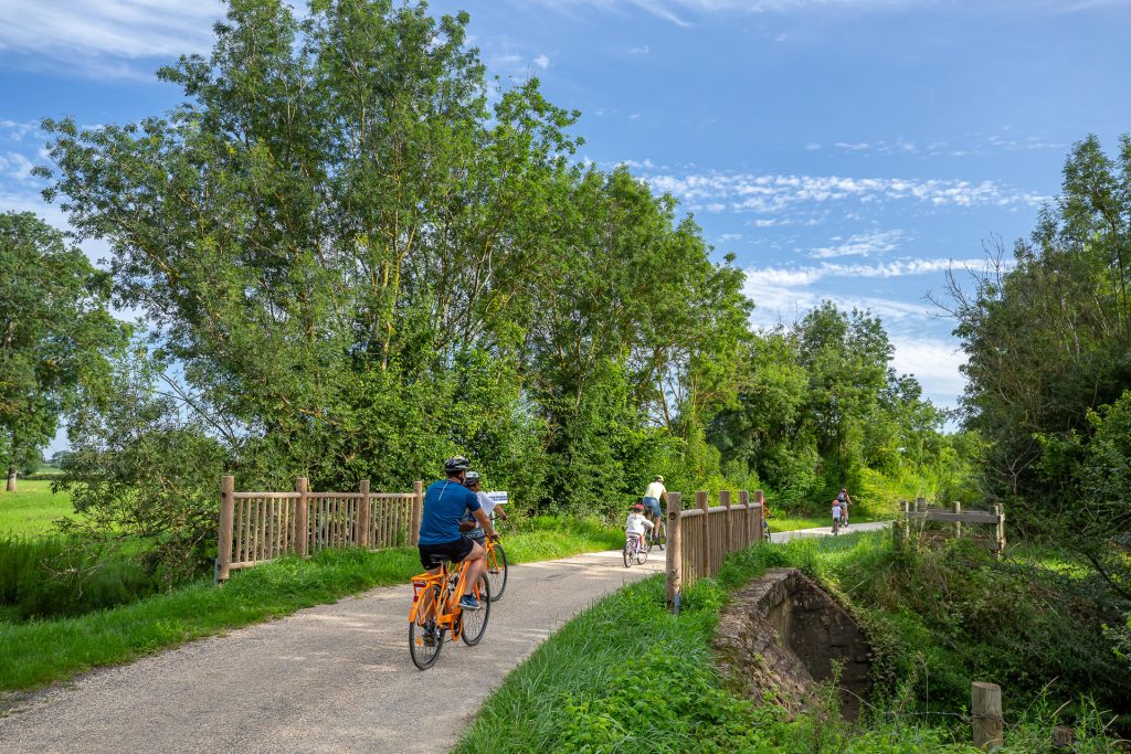 La Voie Bleue, balade entre Mâcon et Fleurville