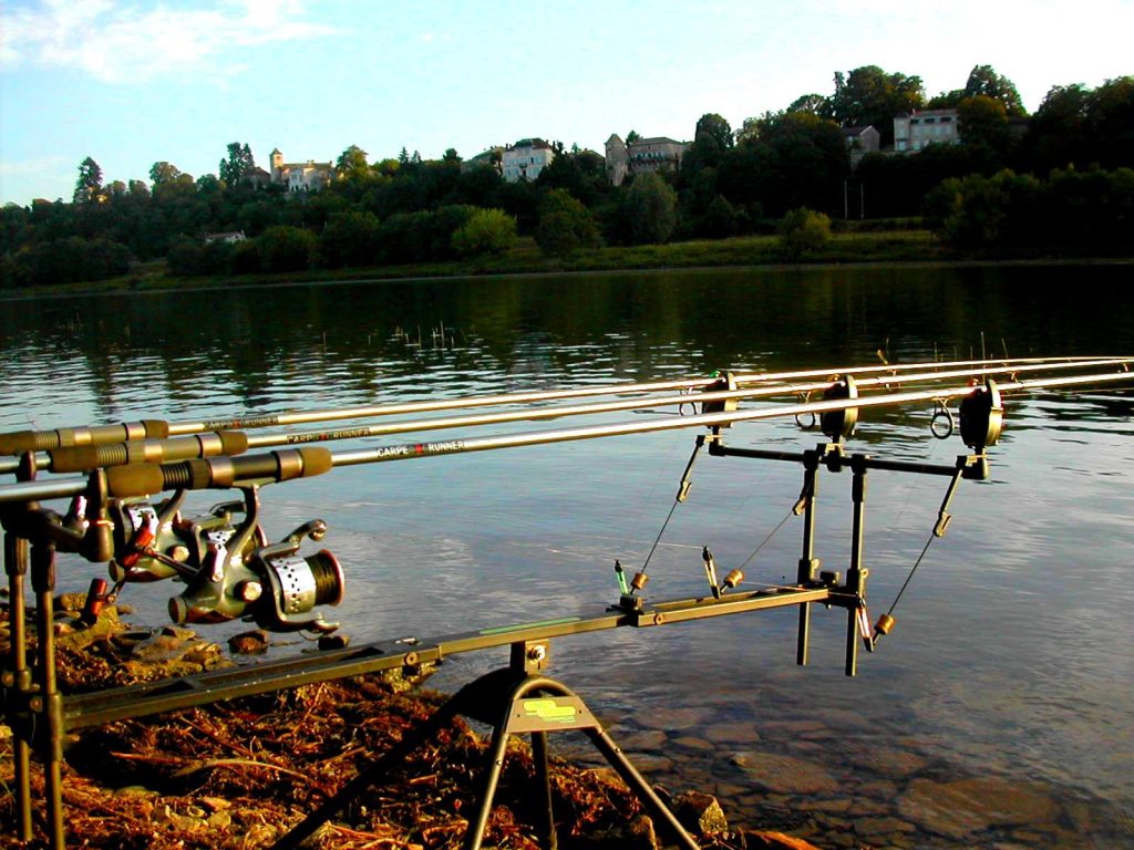 Cannes au bord de Saône, pêche en Bourgogne du Sud
