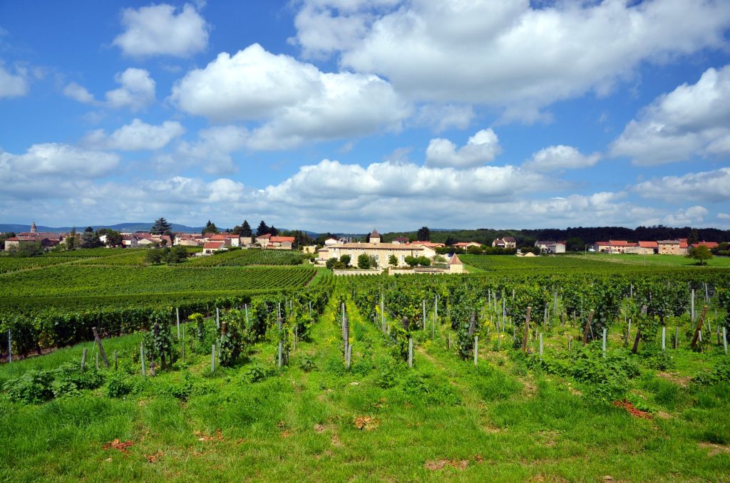 Clessé en Bourgogne du Sud 