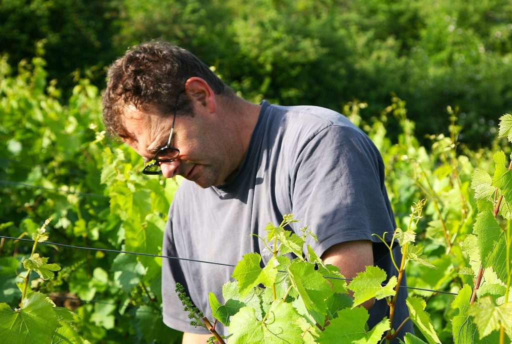 Vignerons Mâconnais