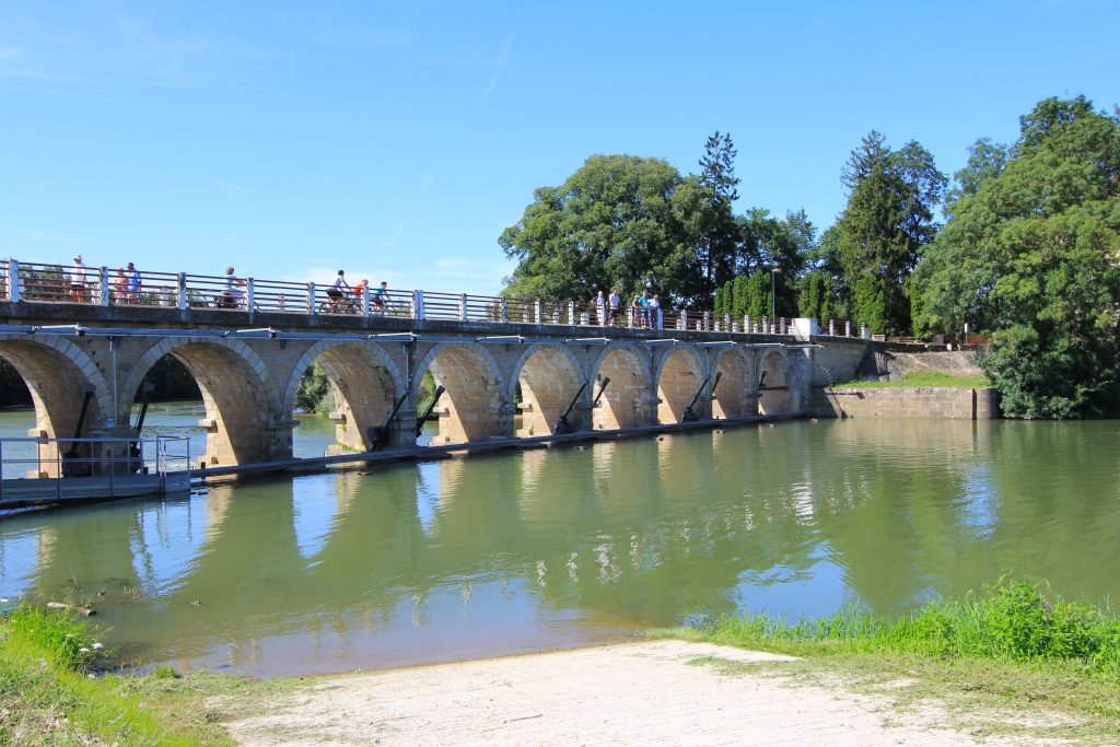 Réserve naturelle de la Truchère en Sud Bourgogne