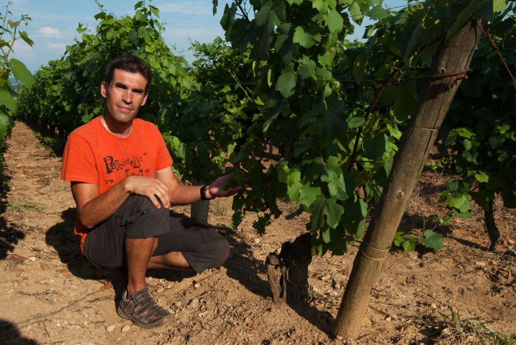 Vignerons Mâconnais