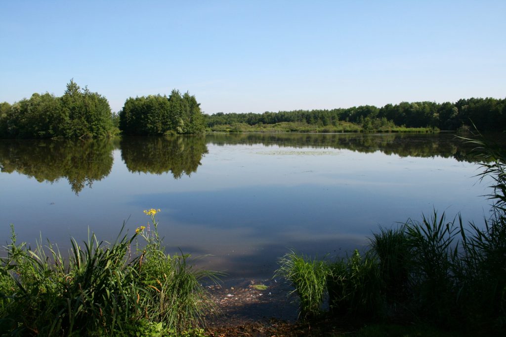 Réserve naturelle de la Truchère en Sud Bourgogne