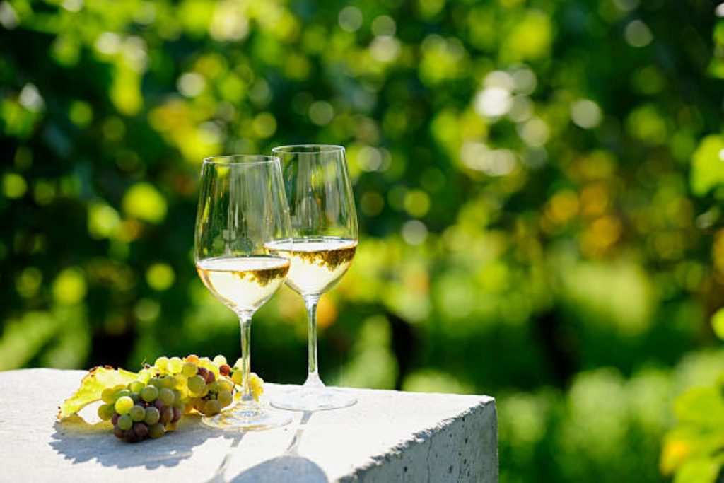 Vignoble Mâconnais en Bourgogne du Sud