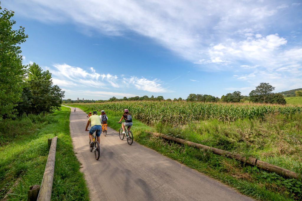 Bourgogne du Sud, voie verte, vélo