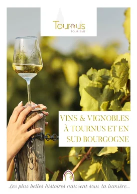 Vins & vignoble à Tournus & en Sud Bourgogne