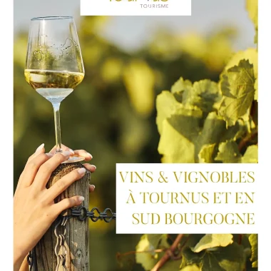 Vins & vignoble à Tournus & en Sud Bourgogne