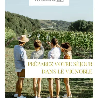 Préparez votre séjour dans le vignoble