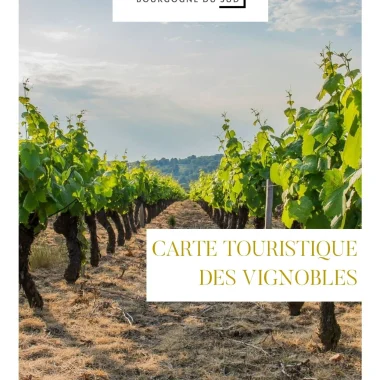 Carte touristique des vignobles