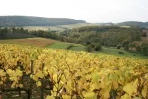 L’Automne en Sud Bourgogne