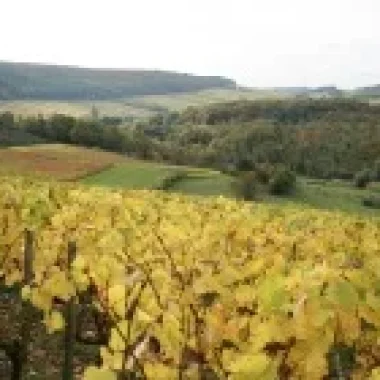 L’Automne en Sud Bourgogne