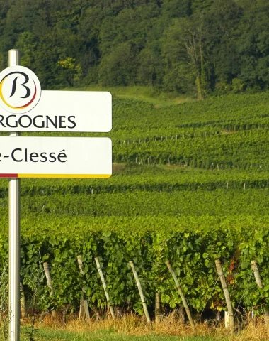 Viré-Clessé, vignoble Mâconnais