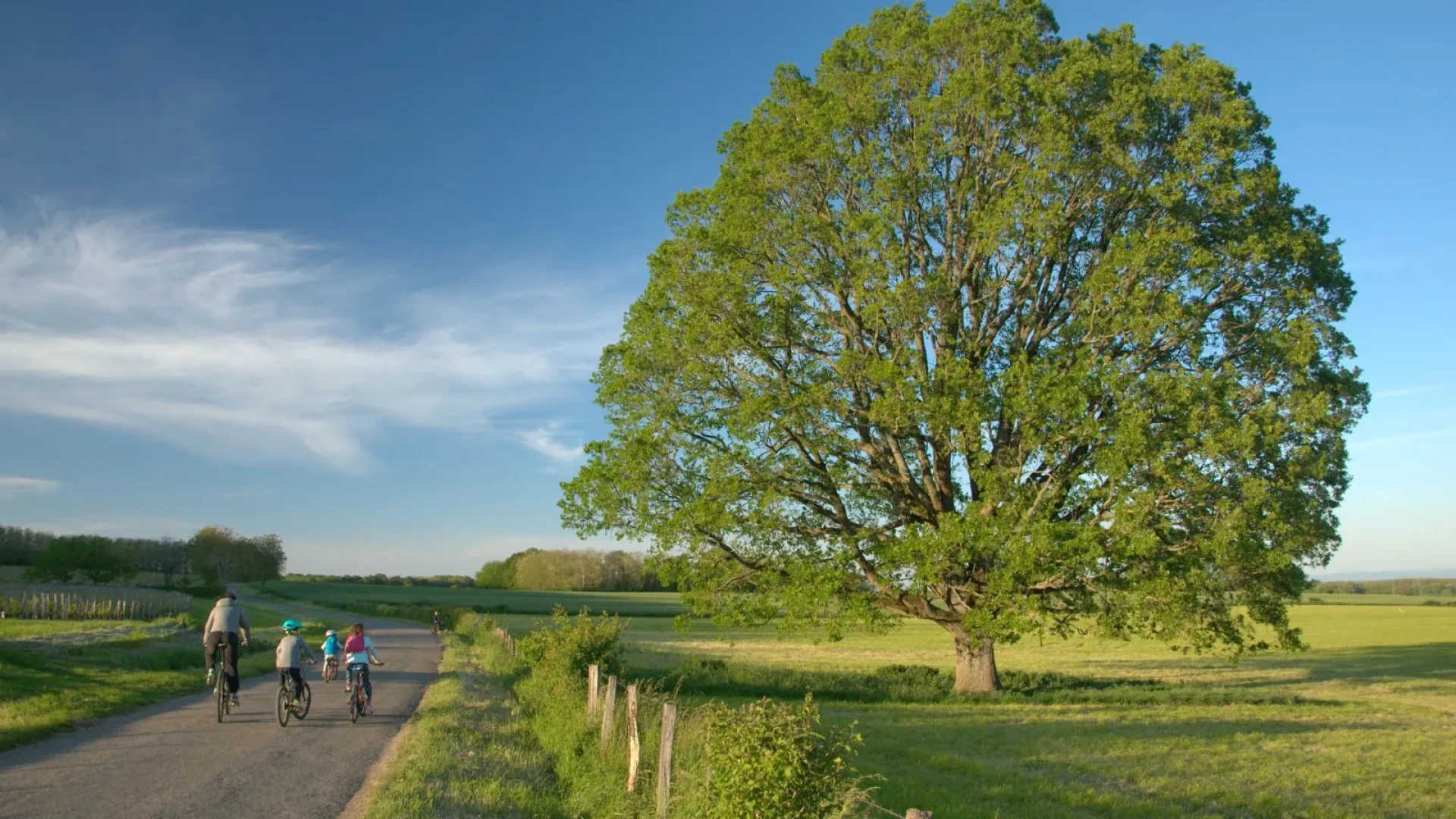 vélo famille