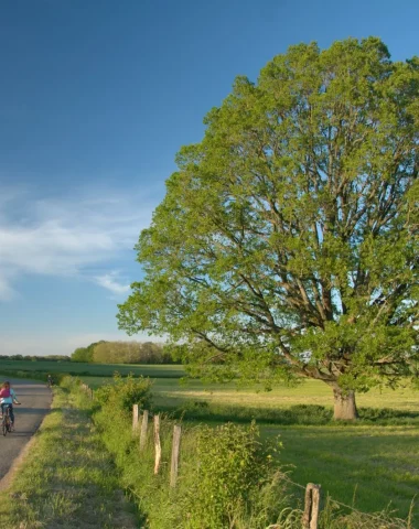 vélo famille