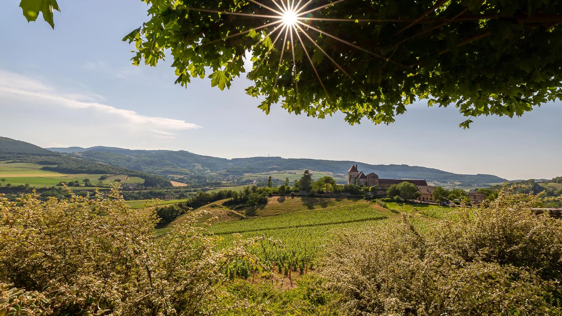 paysage Sud Bourgogne