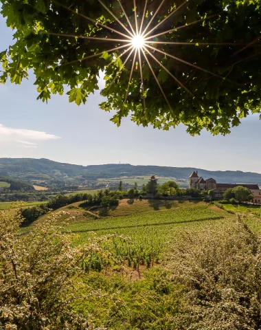 paysage Sud Bourgogne