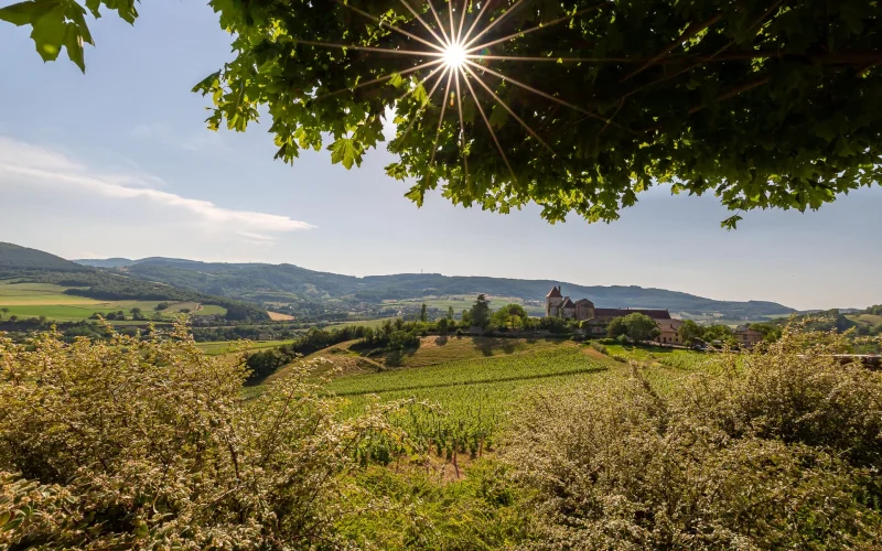 paysage Sud Bourgogne