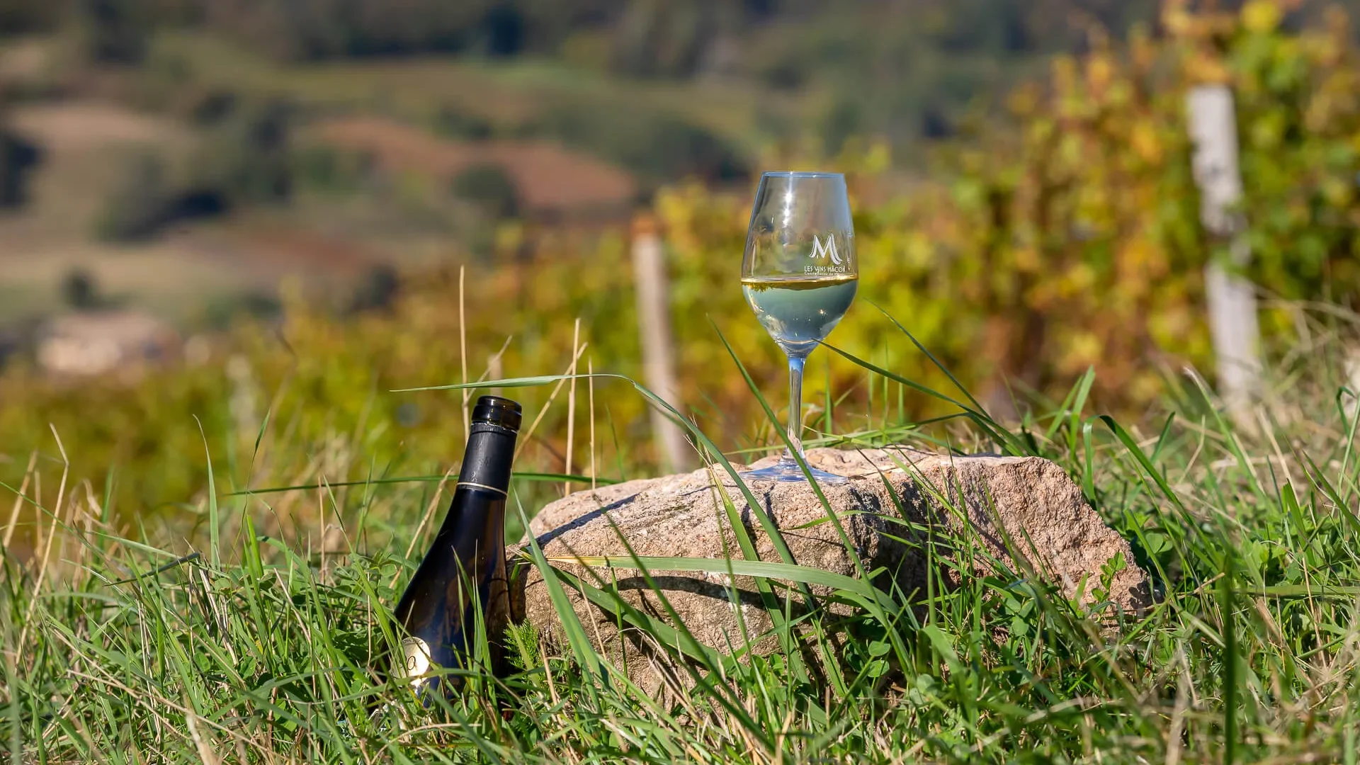 vignoble mâconnais