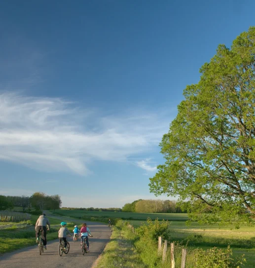 vélo famille